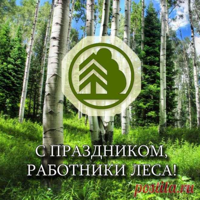 В праздник твой желаю счастья
И работать лишь с душой.
Сказочные силы леса
Будут пусть всегда с тобой.