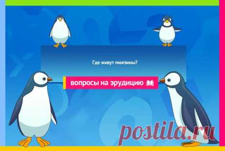 Где живут пингвины?