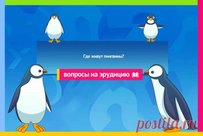 Где живут пингвины?