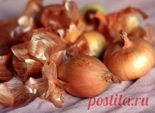 ЛУКОВЫЙ коктейль...для ЦВЕТОВ!