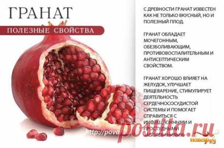 Гранат полезные свойства