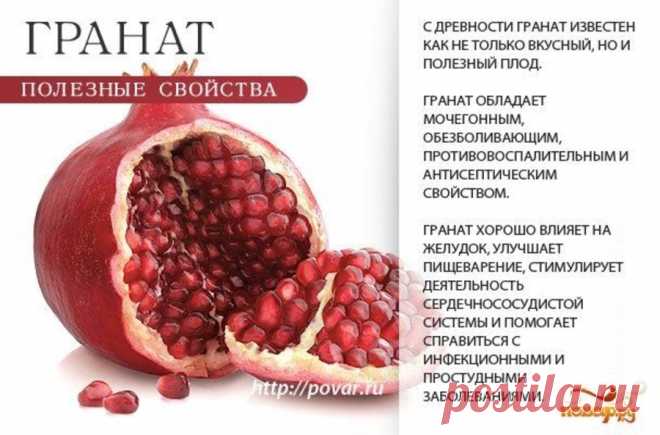 Гранат полезные свойства