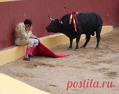 Как распознать фейк: пособие для журналистов и пользователей соцсетей