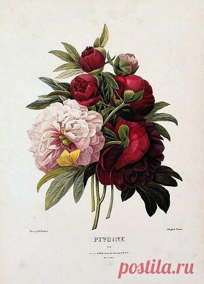 Найдено на сайте lifeonsundays.com.