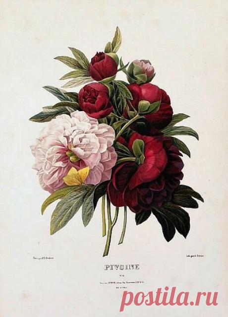 Найдено на сайте lifeonsundays.com.