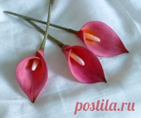 Sugar flower tutorial