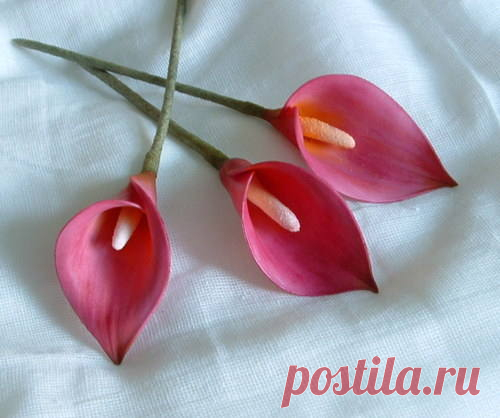 Sugar flower tutorial