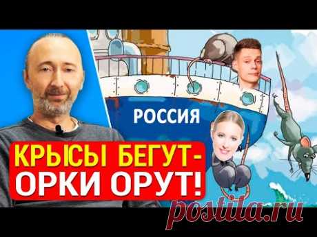 Украина/ Россия. Крысы сбежали: Дудь, Невзоров, Собчак, Варламов. Кто ОНИ: Д. Комаров, Д. Гордон и..