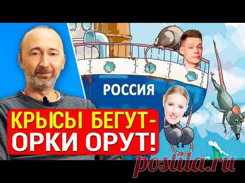 Украина/ Россия. Крысы сбежали: Дудь, Невзоров, Собчак, Варламов. Кто ОНИ: Д. Комаров, Д. Гордон и..