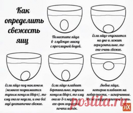 Определяем свежесть яйца.