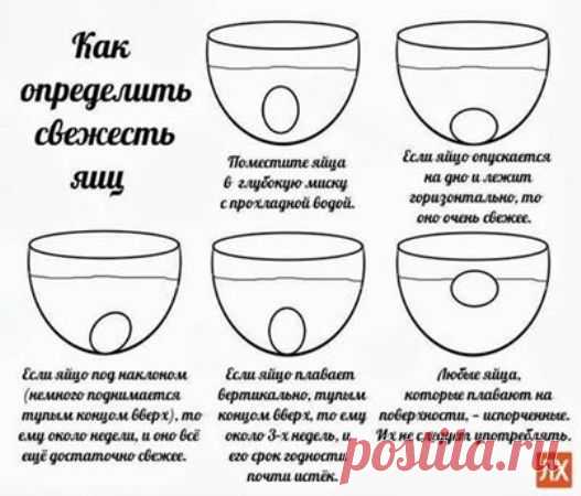 Определяем свежесть яйца.