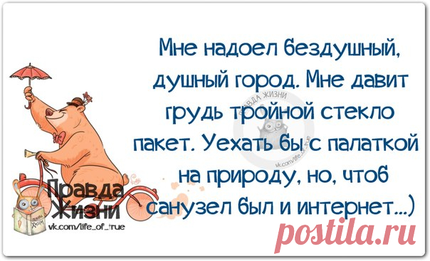 Позитивные фразочки в картинках (14.09.2019)