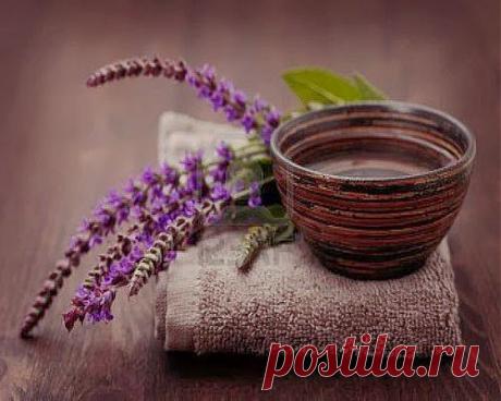 Если у ребенка перхоть | Друг пенсионера
Это произошло пару месяцев назад. Я, как обычно, причесывала свою доч­ку. Надо сказать, что дочери моей 6 лет, а волосы у нее довольно длин­ные.