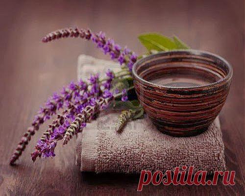 Если у ребенка перхоть | Друг пенсионера
Это произошло пару месяцев назад. Я, как обычно, причесывала свою доч­ку. Надо сказать, что дочери моей 6 лет, а волосы у нее довольно длин­ные.