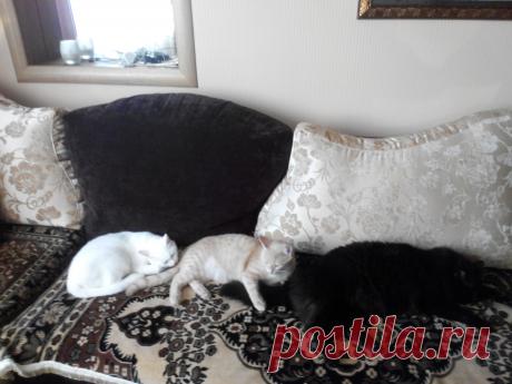 Хорошо когда все дома!!!