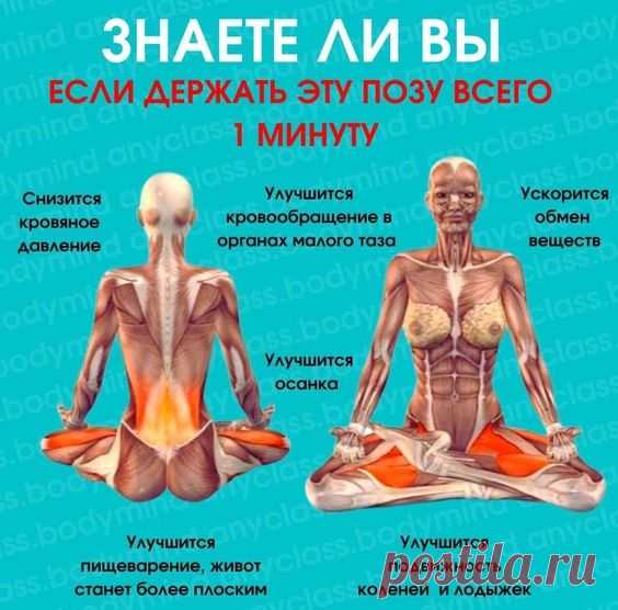 (659) Pinterest