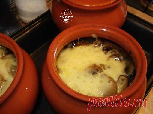 МЯСО В ГОРШОЧКЕ С ГРИБАМИ И СЫРОМ 

Мясо в горшочке — простое в приготовлении блюдо. Ваши родные и близкие обязательно порадуются, если Вы приготовите на ужин мясо в горшочке с картофелем и сыром. Поверьте, это очень-очень вкусно!

Блюда в горшочках — это просто, быстро и полезно!
Показать полностью…