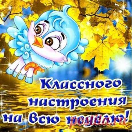 картинка удачной недели - Поиск в Google