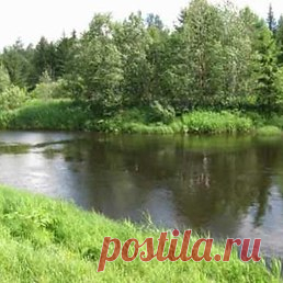 Интересные новости