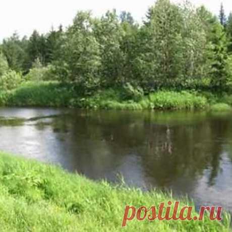 Интересные новости