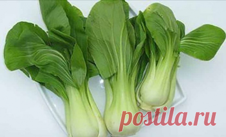 Эскулап: Эти овощи содержат больше железа, чем его находится в мясе