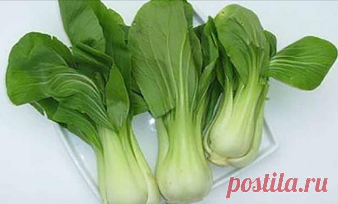 Эскулап: Эти овощи содержат больше железа, чем его находится в мясе