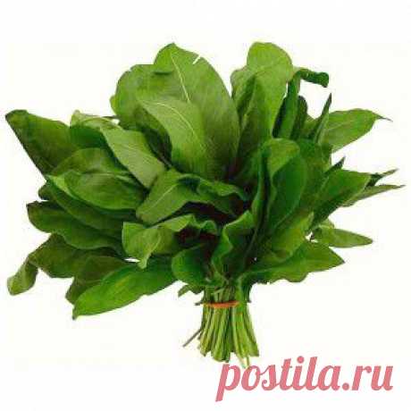 Как сделать смягчитель для белья