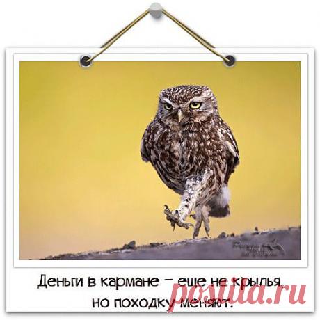 Одноклассники