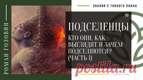 ПОДСЕЛЕНЦЫ. Кто они, как выглядят и зачем подселяются? (ЧАСТЬ 1)
https://youtu.be/pGA3m3dg6Fc
Распространяйте репостами
#подселенцы #сущности #ктотакиеподселенцы #карма #темныедуши