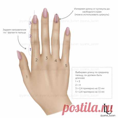 Максимум пользы и наглядности | Журнал NAIL индустрии | Яндекс Дзен
