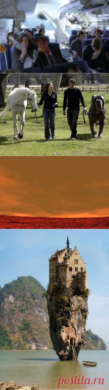 10 фотоподделок, в которые многие поверили / Креатив / Мир умных безумных идей / Surfingbird - все, что интересно тебе
