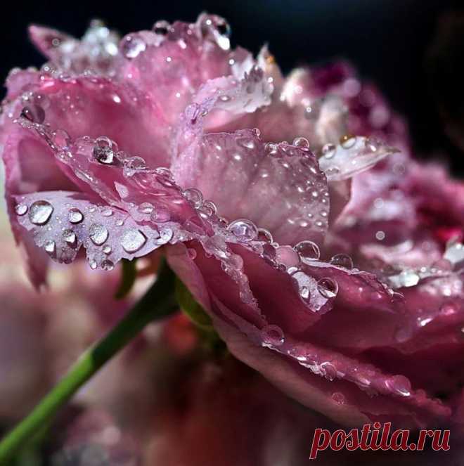 СЧАСТЬЕ НА ЛАДОШКЕ... | Самоцветик