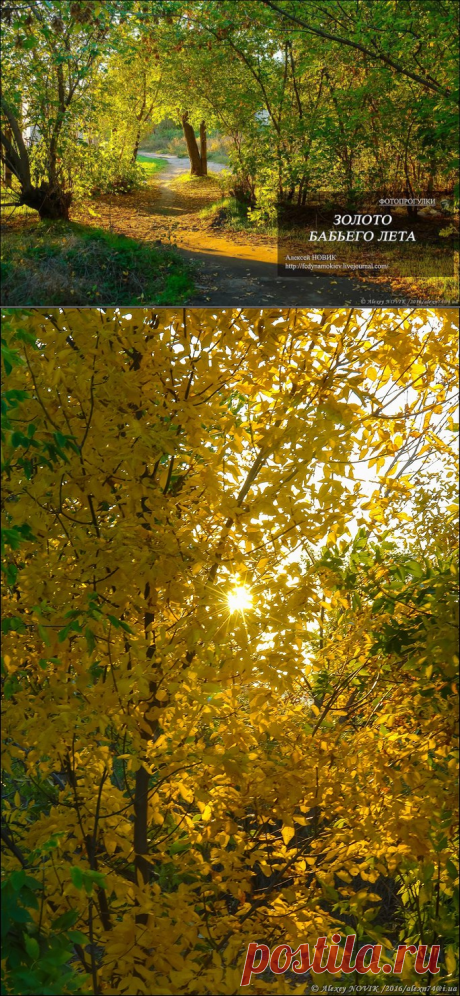 Фотопрогулка. Золото бабьего лета