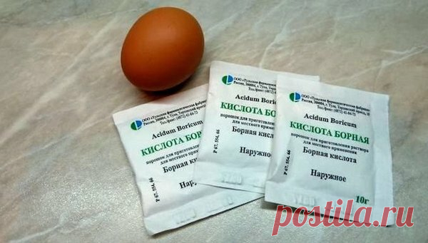 Что я обязательно покупаю в аптеке перед началом дачного сезона? | садоёж | Яндекс Дзен