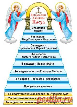 Новости