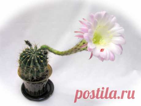 Круговорот доброты — Народные приметы