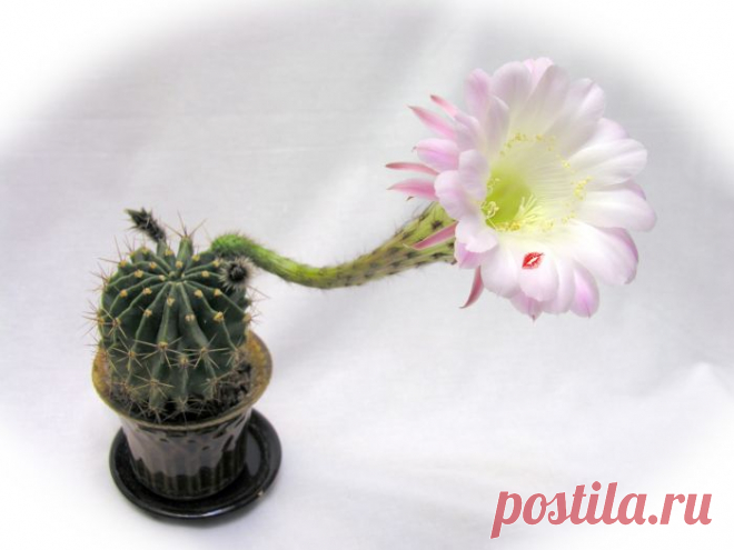 Круговорот доброты — Народные приметы