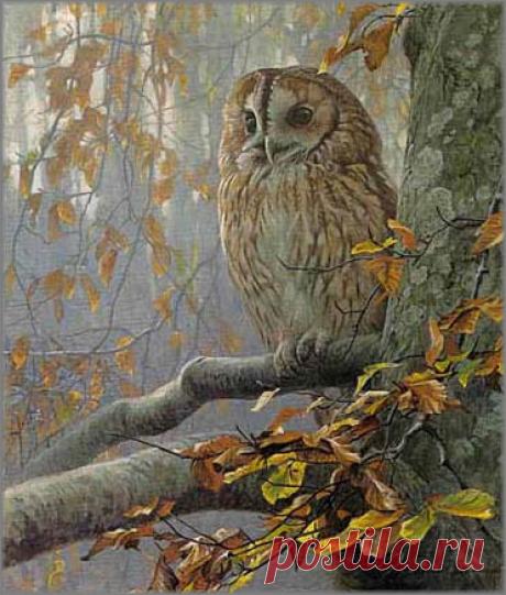 Роберт Бейтман - Неясыть в буке: ИСКУССТВО