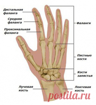 👆 Болят фаланги пальцев рук - причины, что делать, как лечить