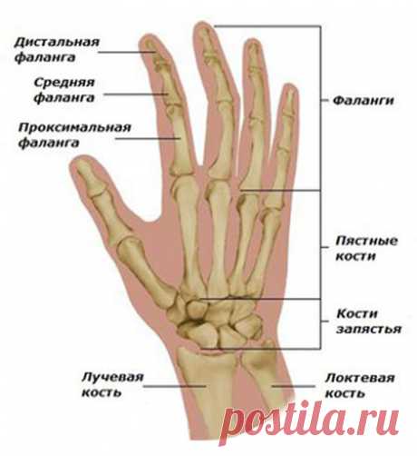 👆 Болят фаланги пальцев рук - причины, что делать, как лечить