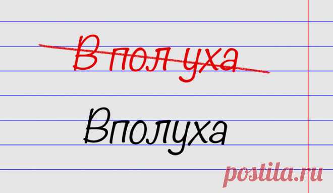 15 выражений, в которых ошибаются даже те, кто был отличником по русскому языку