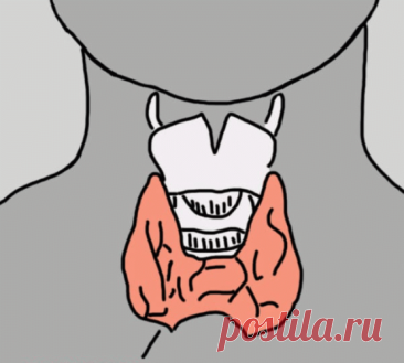 12 признаков, что у вас проблемы со щитовидной железой — Journal women❜s