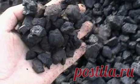 Угольное месторождение на 68,1 млн. тонн обнаружено в Ростовской области