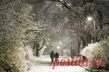 Москву накроет мощный снежный циклон