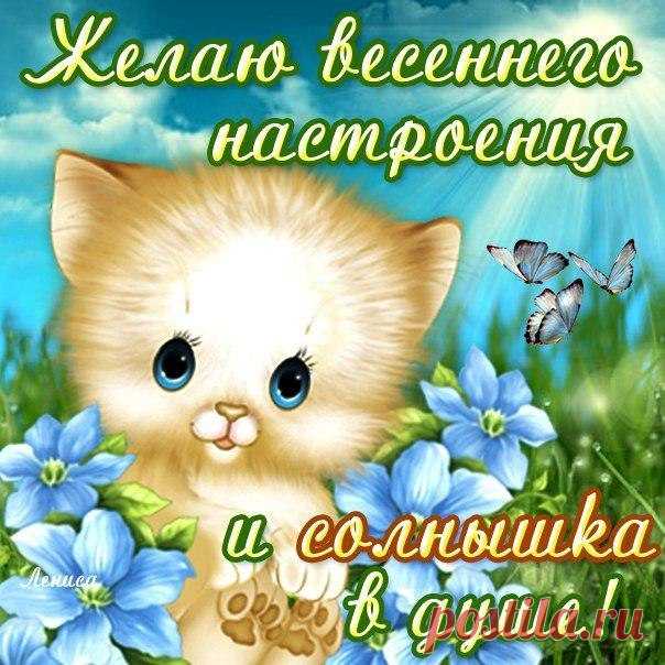 • Лучшие картинки и открытки ► vk.com/fotomimi ◄