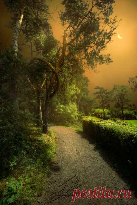 Artistic-realistic nature - 💙 Tranquility on 500px by Ditte Søndergaard...