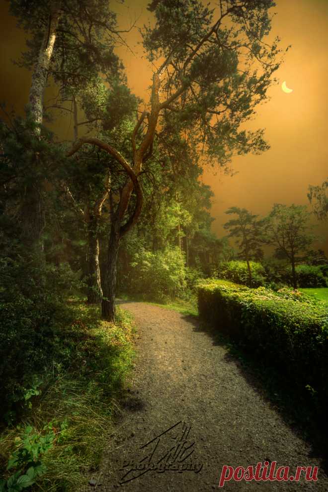Artistic-realistic nature - 💙 Tranquility on 500px by Ditte Søndergaard...