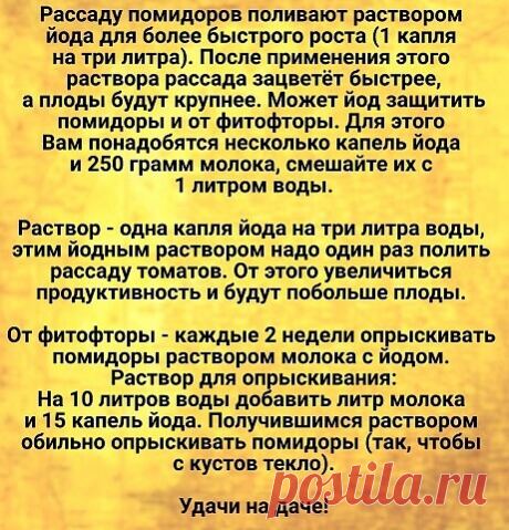 Помидоры. Дачникам пригодится.
