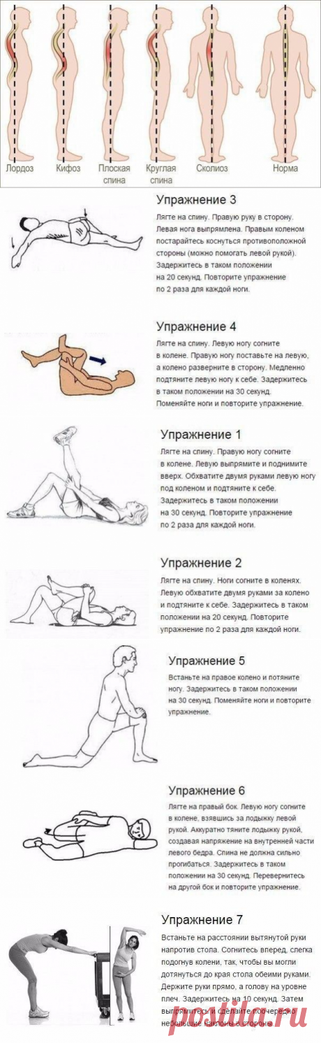 7 упражнений, которые избавят от искривления и болей в спине.