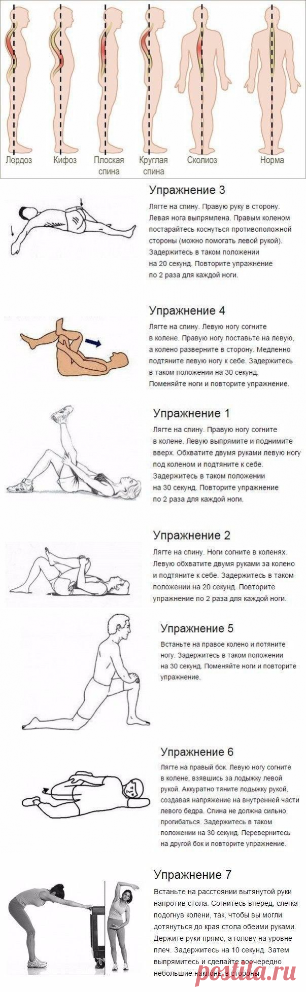 7 упражнений, которые избавят от искривления и болей в спине.